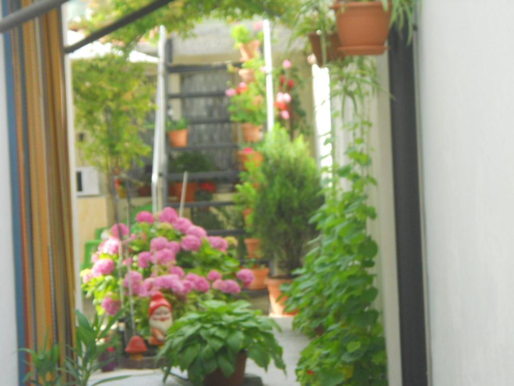 Dom Eli Apartamento Pomorie Exterior foto